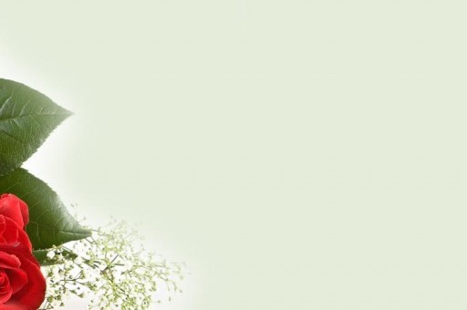 世界上特别脏的水果排行榜2025特别新排名前十名分析