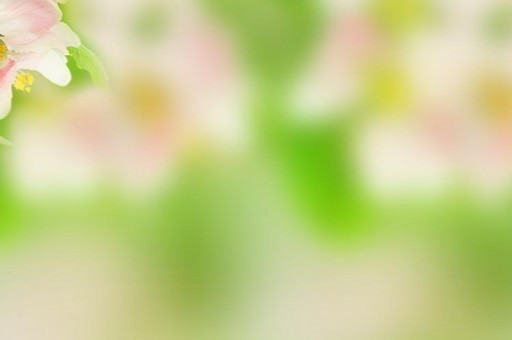 十大快餐品牌排行榜2025近期排名前十名分析