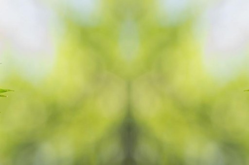 世界十大汽车品牌排行榜2025特别新排名前十名分析